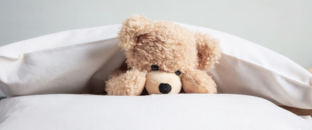 Gấu bông Teddy cao cấp Vương Quốc Gấu Bông