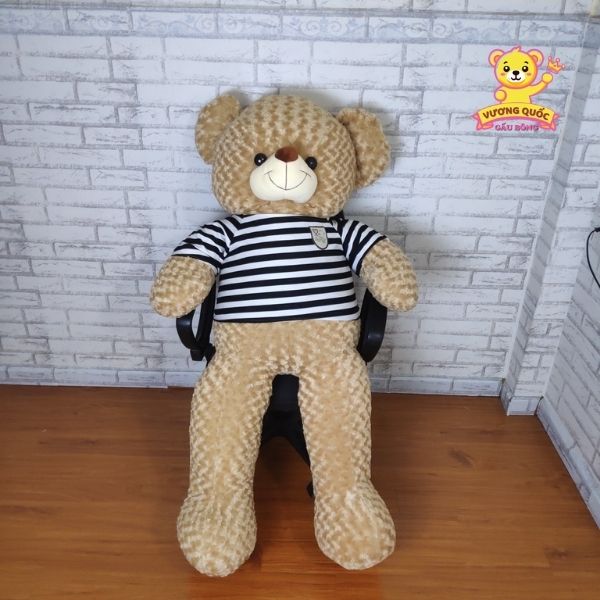 Gấu bông Teddy lông tơ cao cấp – ảnh 5