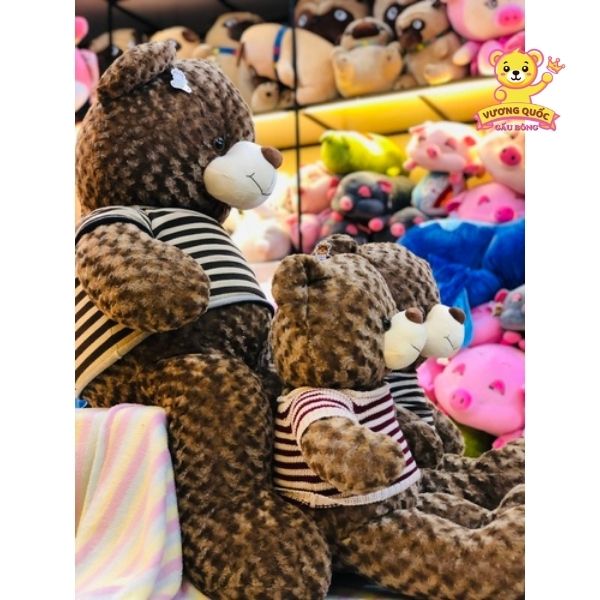 Gấu Bông Teddy Lông Xoắn 