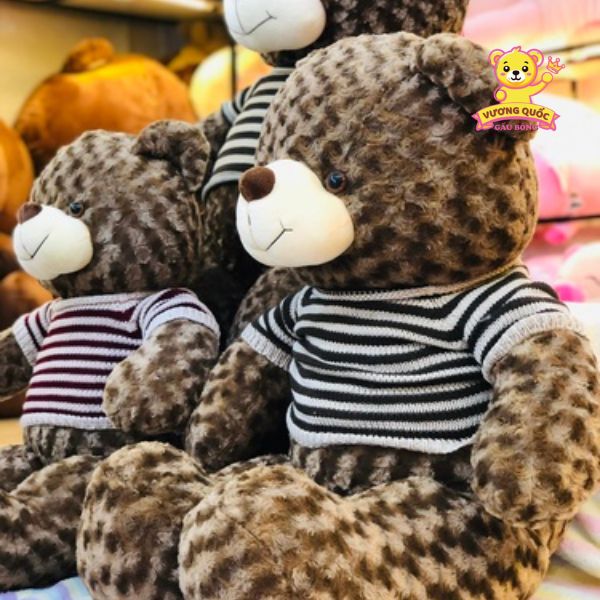 Gấu Bông Teddy Lông Xoắn