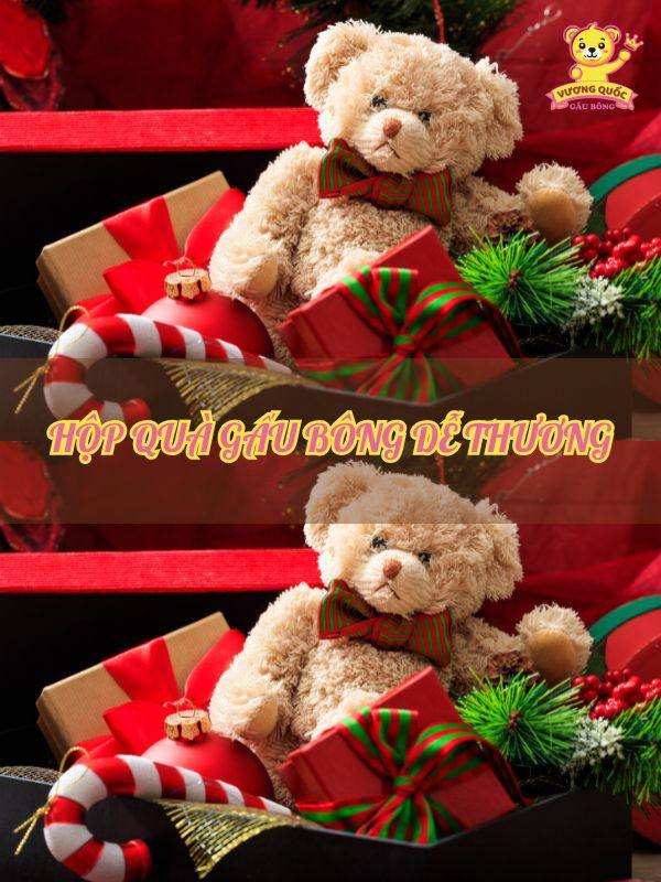 Hộp quà gấu bông dễ thương