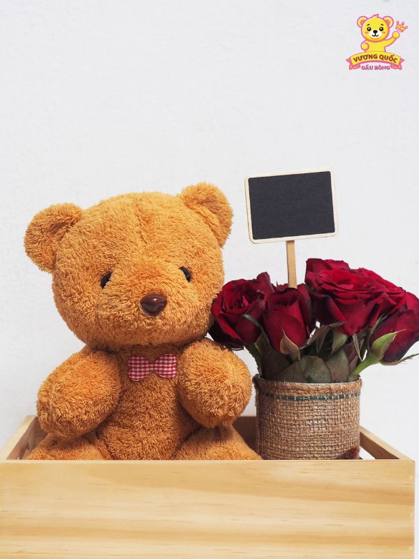 Set quà gấu bông và hoa sáp