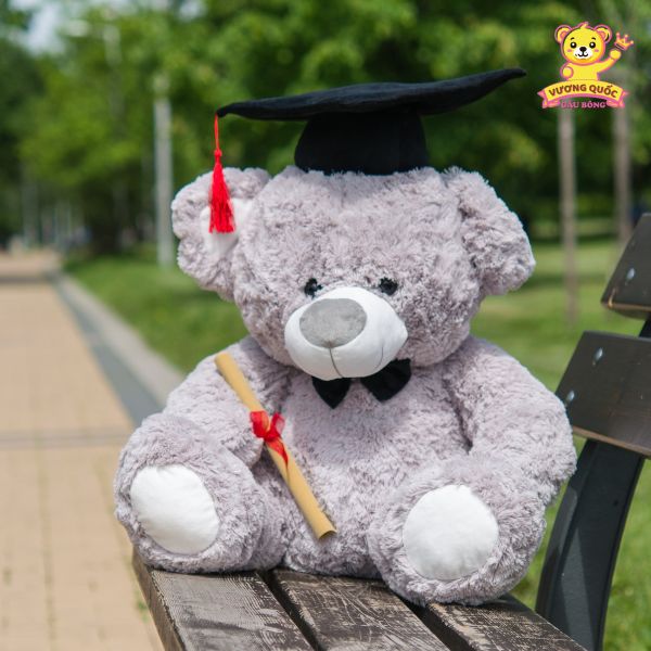 Gấu bông cử nhân truyền thống