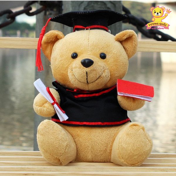 Gấu bông cử nhân cầm bằng khen hoặc hoa