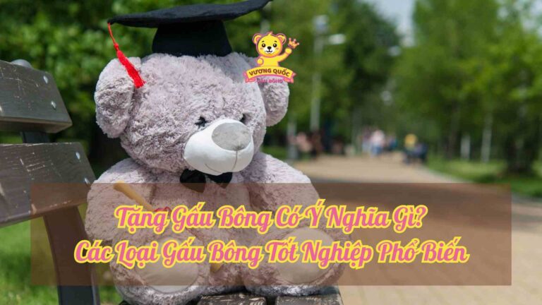 Tặng Gấu Bông Có Ý Nghĩa Gì? Các Loại Gấu Bông Tốt Nghiệp Phổ Biến