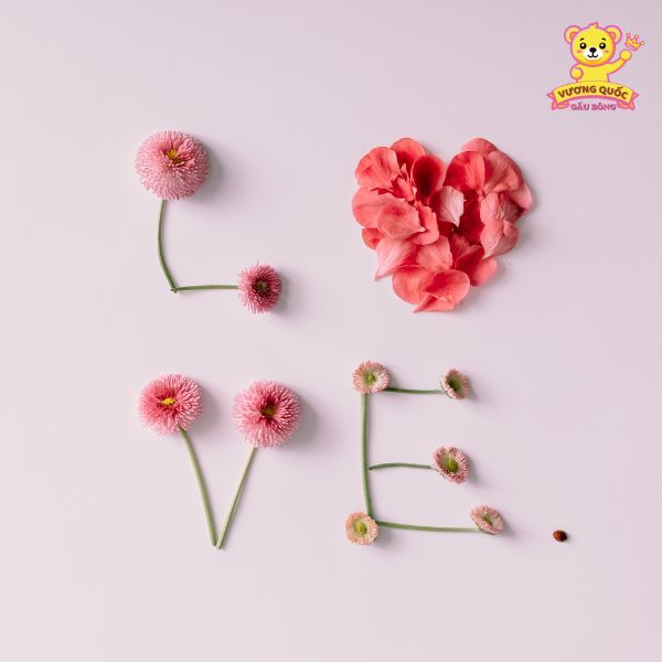 Kết hợp tỏ tình và tặng quà