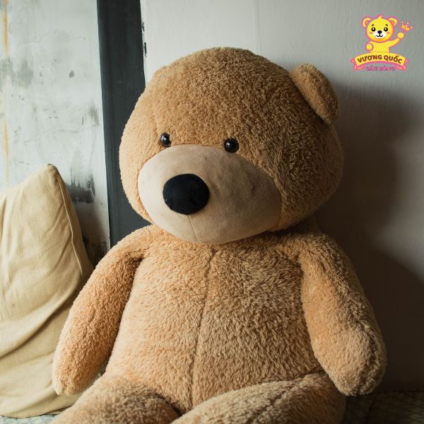 Gấu bông bự: Món quà không bao giờ lỗi thời