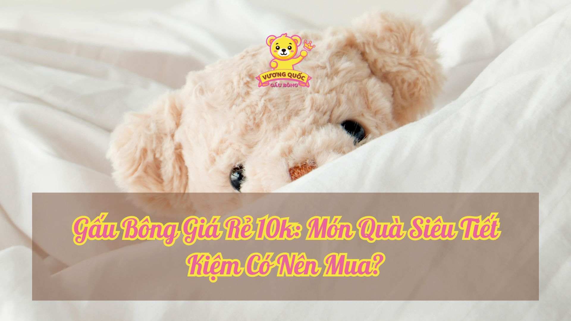 Gấu Bông Giá Rẻ 10k: Món Quà Siêu Tiết Kiệm Có Nên Mua?
