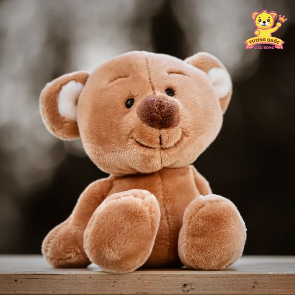 Nhiều mẫu gấu bông đa dạng, dễ thương