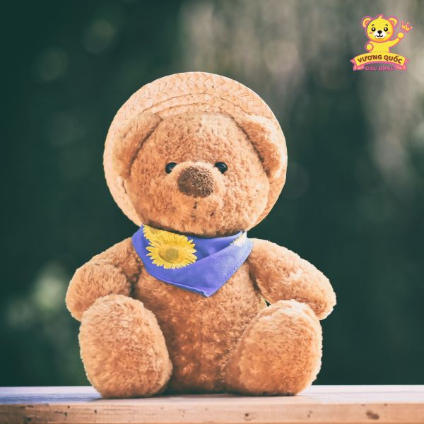 Những lưu ý quan trọng khi mua gấu bông giá 200k