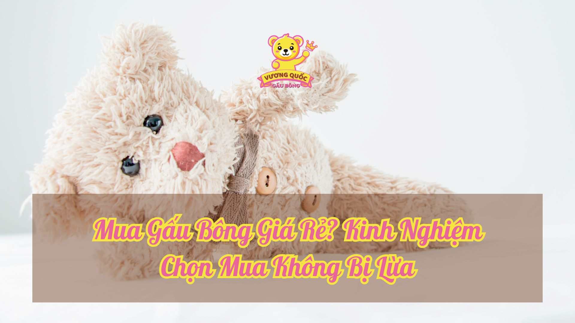Mua Gấu Bông Giá Rẻ? Kinh Nghiệm Chọn Mua Không Bị Lừa