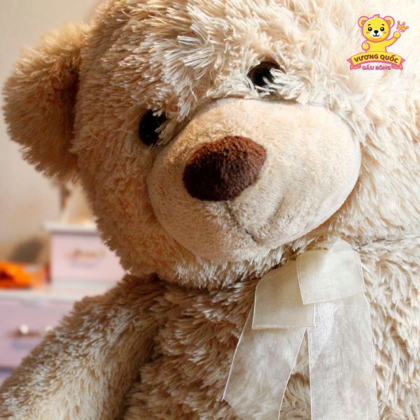 Lịch sử ra đời của gấu bông