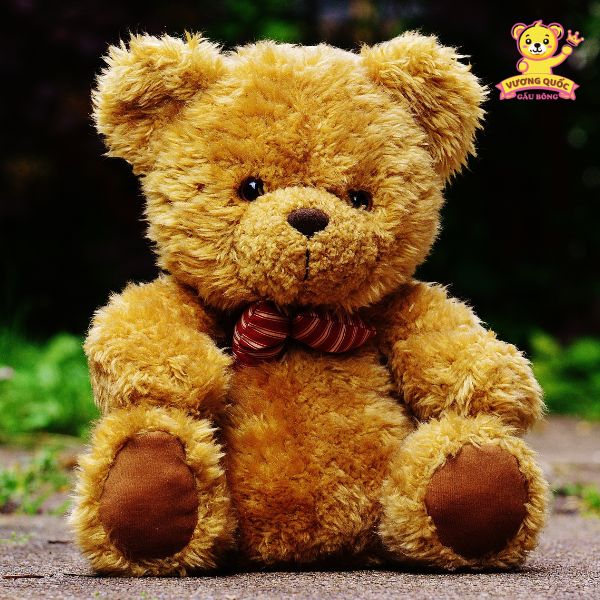 Các loại gấu bông phổ biến hiện nay