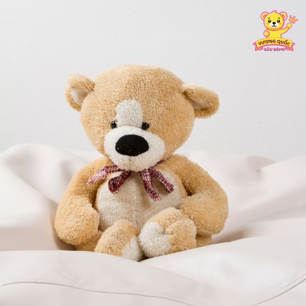 Mua gấu bông nhỏ ở đâu rẻ mà đẹp?