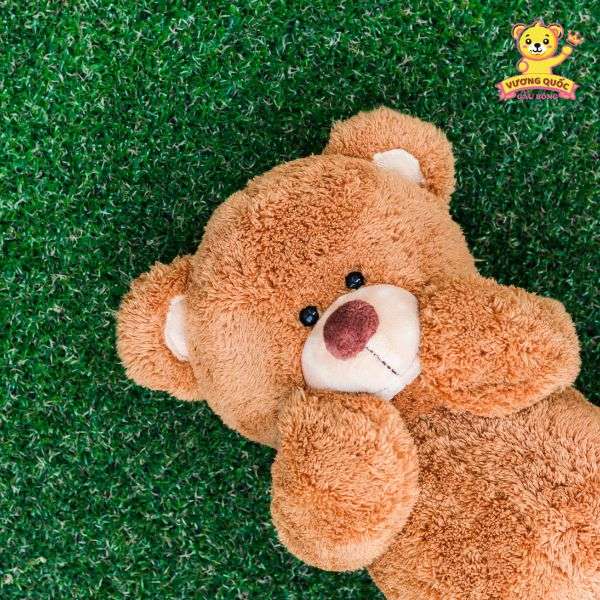 Là món quà thể hiện tình cảm và sự quan tâm