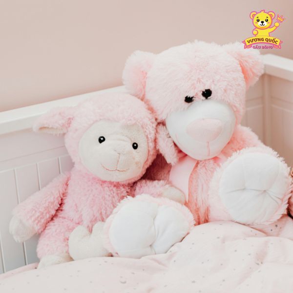 Gấu bông có ý nghĩa gì với giới trẻ?