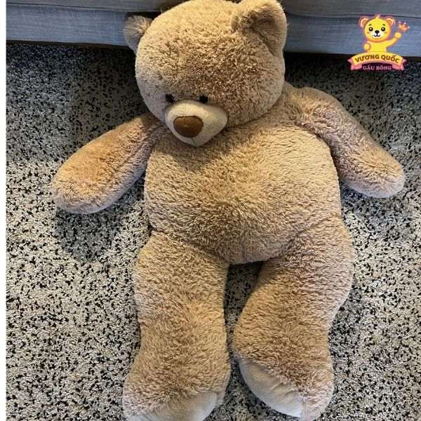 Gấu bông khổng lồ phù hợp với mọi đối tượng