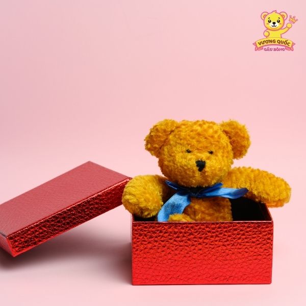 Mua quà tặng 20/10 gấu bông ở đâu?
